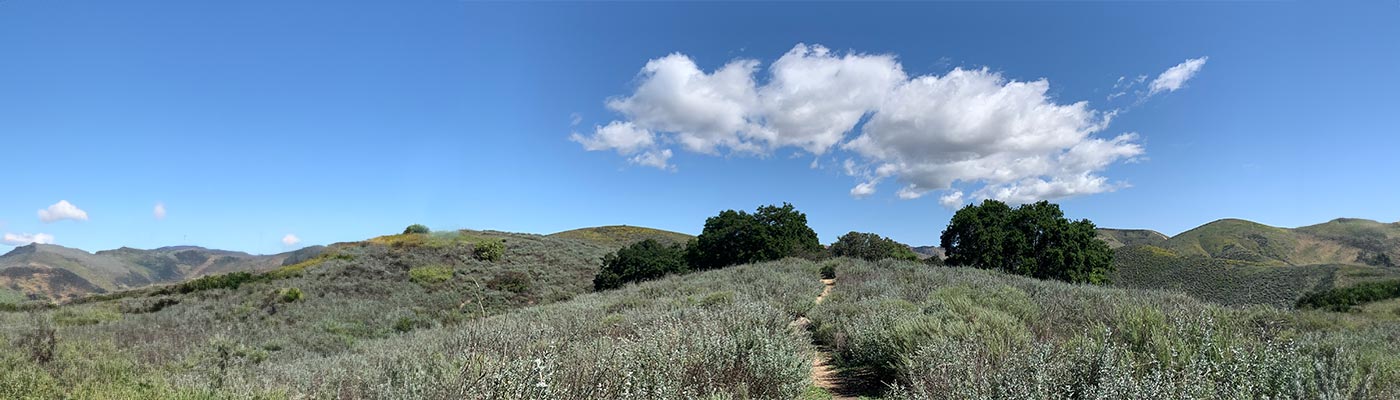 Grassy hills with clouds in the sky in Calabasas