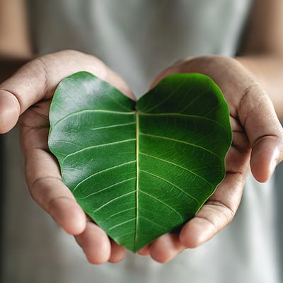A woman's hands holding a heart-shaped leaf, symbolizing the healing power of individual therapy.