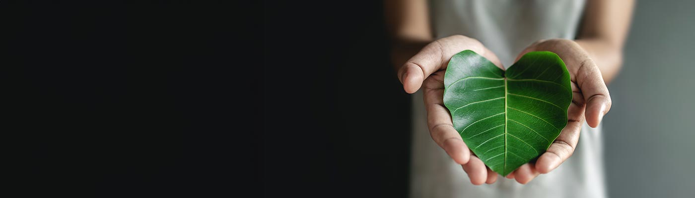 An individual is holding a green leaf in their hands.
